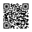 QR Code (код быстрого отклика)