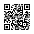 QR Code (код быстрого отклика)