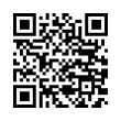 QR Code (код быстрого отклика)