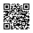 QR Code (код быстрого отклика)