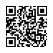 QR Code (код быстрого отклика)