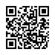 QR Code (код быстрого отклика)