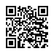 QR Code (код быстрого отклика)