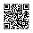 QR Code (код быстрого отклика)