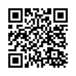 QR Code (код быстрого отклика)