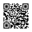 QR Code (код быстрого отклика)