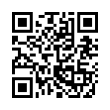 QR Code (код быстрого отклика)