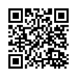 QR Code (код быстрого отклика)