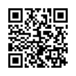 QR Code (код быстрого отклика)