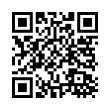 QR Code (код быстрого отклика)