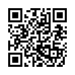 QR Code (код быстрого отклика)