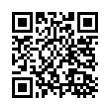 QR Code (код быстрого отклика)