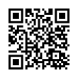 QR Code (код быстрого отклика)