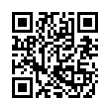 QR Code (код быстрого отклика)