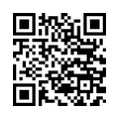 QR Code (код быстрого отклика)