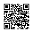 QR Code (код быстрого отклика)