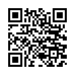 QR Code (код быстрого отклика)