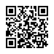 QR Code (код быстрого отклика)