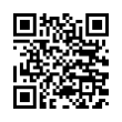 QR Code (код быстрого отклика)