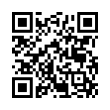 QR Code (код быстрого отклика)