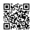 QR Code (код быстрого отклика)