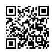 QR Code (код быстрого отклика)