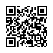 QR Code (код быстрого отклика)