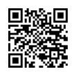 QR Code (код быстрого отклика)