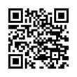 QR Code (код быстрого отклика)