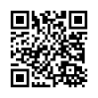 QR Code (код быстрого отклика)