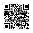 QR Code (код быстрого отклика)