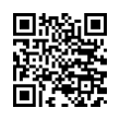 QR Code (код быстрого отклика)