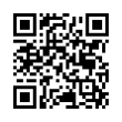 QR Code (код быстрого отклика)