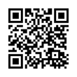 QR Code (код быстрого отклика)