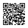 QR Code (код быстрого отклика)