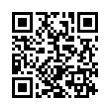 QR Code (код быстрого отклика)