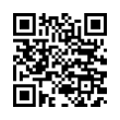 QR Code (код быстрого отклика)