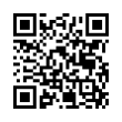 QR Code (код быстрого отклика)