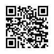 QR Code (код быстрого отклика)