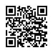 QR Code (код быстрого отклика)