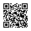 QR Code (код быстрого отклика)