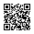 QR Code (код быстрого отклика)