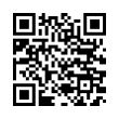 QR Code (код быстрого отклика)