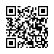 QR Code (код быстрого отклика)