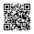 QR Code (код быстрого отклика)