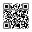 QR Code (код быстрого отклика)