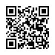 QR Code (код быстрого отклика)