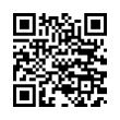 QR Code (код быстрого отклика)