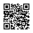 QR Code (код быстрого отклика)