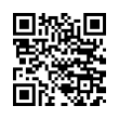 QR Code (код быстрого отклика)